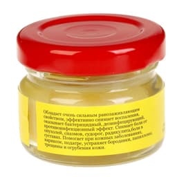 Мазь «Монастырская Живица с Мухомором». Ранозаживляющая. Стекло. 28 мл.