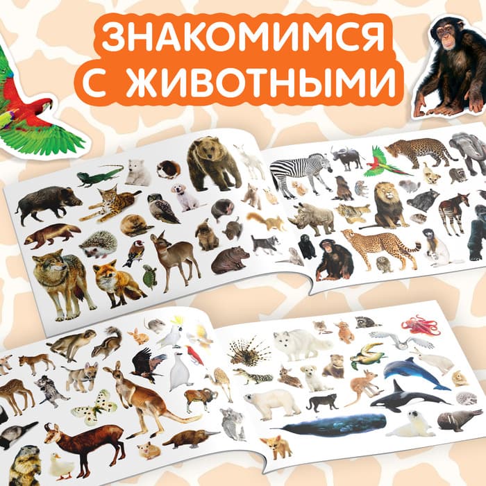 Наклейки детские «100 наклеек. Животные со всего света», 12 стр.