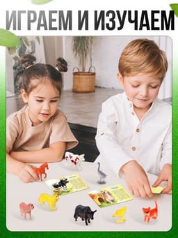 Развивающий набор «Фермерское хозяйство», по методике Монтессори, 10 фигурок, 10 карточек, 3+