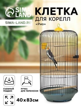 Клетка для корелл круглая «Рио», 40×83 см, микс цветов
