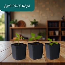 Горшок для рассады, 300 мл, 7.5×7.5×7.5 см, пластик, чёрный, Greengo