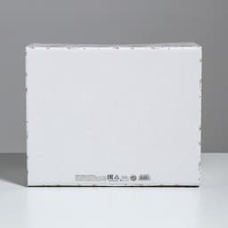 Коробка подарочная складная, упаковка, «Воспоминания о чудесном», 31×25.5×16 см