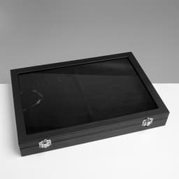 Шкатулка для украшений 10 крючков и 8 полос, 35×24×5, стеклянная крышка, чёрная