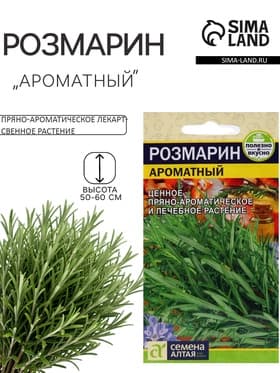 Семена Розмарин «Ароматный», 0.03 г, «Семена Алтая»