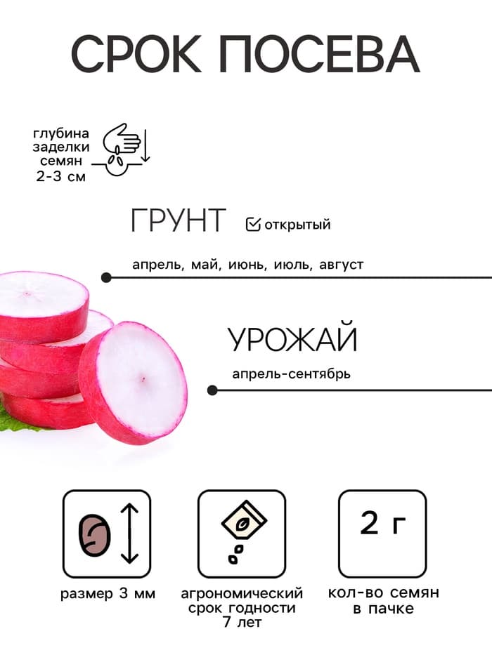 Семена Редис "Чемпион", раннеспелый, ц/п, 2 г