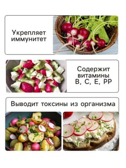 Семена Редис "Чемпион", раннеспелый, ц/п, 2 г