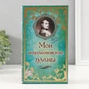 Шкатулка книга-сейф «Мои наполеоновские планы», дерево и искусственная кожа, с замком, 21×13×5 см