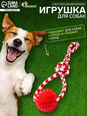 Игрушка канатная «Узел с массажным шариком», до 31 см, до 65 г, цвет МИКС