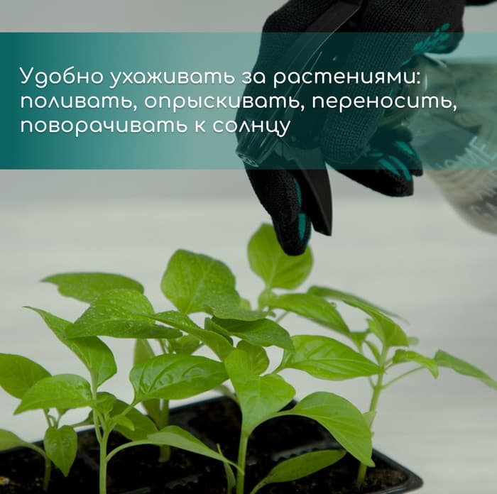 Кассета для рассады, на 72 ячейки, по 50 мл, из пластика, чёрная, 54×28×4 см, Greengo