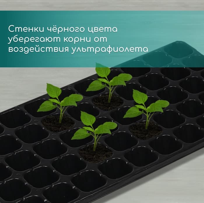 Кассета для рассады, 50 ячеек по 75 мл, пластик, чёрная, 56×29.5×4 см, Greengo