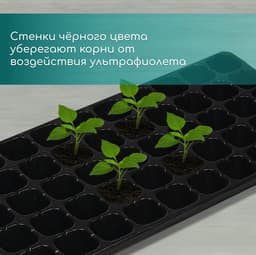 Кассета для рассады, 50 ячеек по 75 мл, пластик, чёрная, 56×29.5×4 см, Greengo