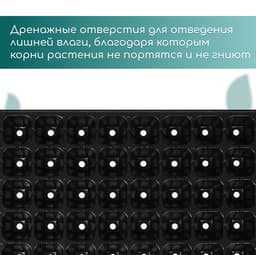 Кассета для рассады, 50 ячеек по 75 мл, пластик, чёрная, 56×29.5×4 см, Greengo