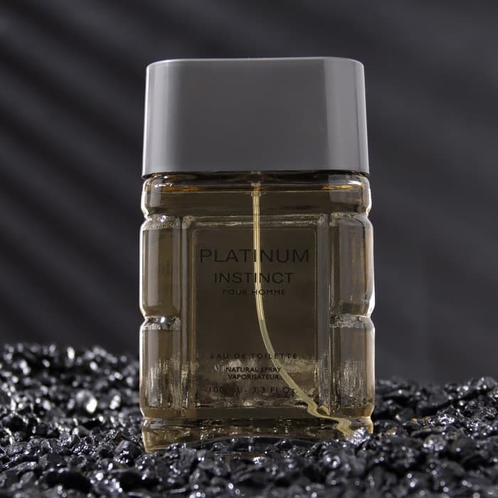 Туалетная вода мужская Instinct Platinum, 100 мл (по мотивам Egoiste Platinum (Chanel)