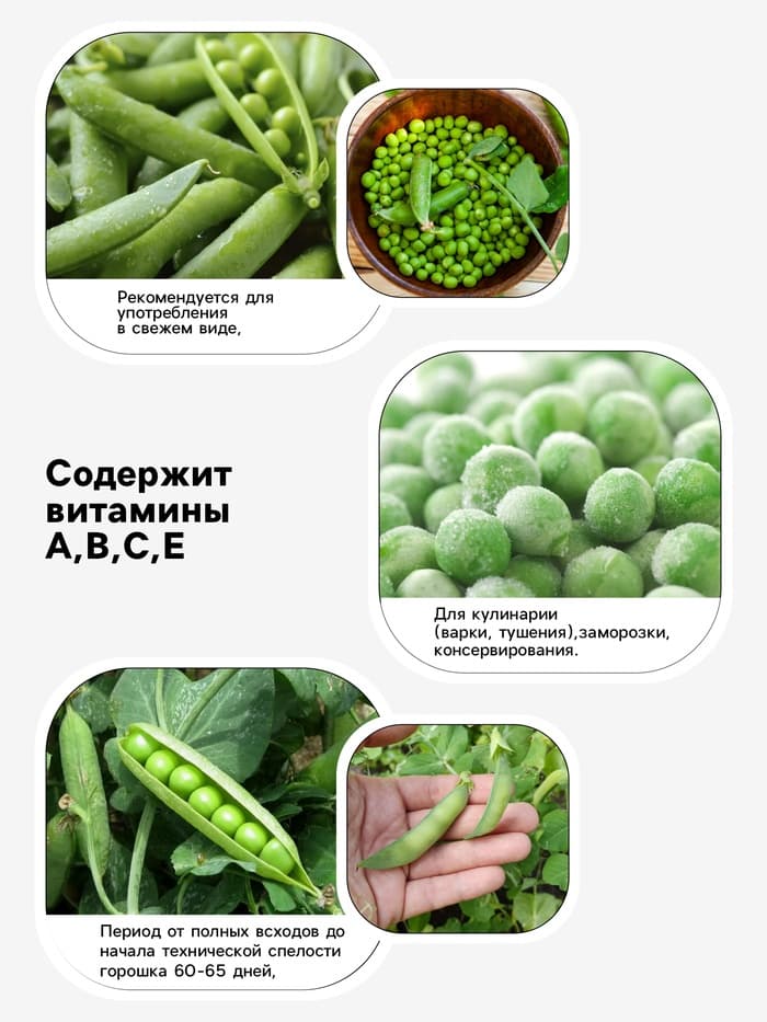 Семена Горох овощной «Детский» сахарный, раннеспелый, низкорослый, 10 г, «Евро-семена»