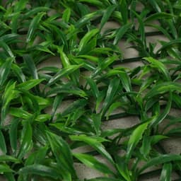 Декоративная панель, 60×40 см, «Трава», Greengo