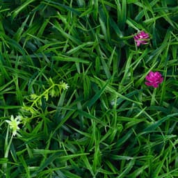 Декоративная панель, 60×40 см, «Цветочный луг», Greengo