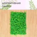 Декоративная панель, 60×40 см, «Самшит, Папоротник», Greengo