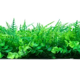 Декоративная панель, 60×40 см, «Самшит, Папоротник», Greengo