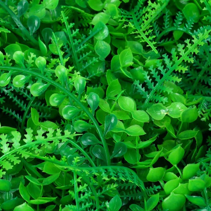 Декоративная панель, 60×40 см, «Самшит, Папоротник», Greengo