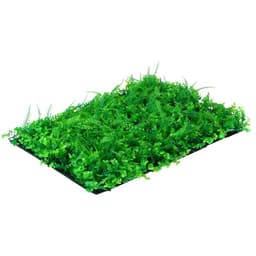 Декоративная панель, 60×40 см, «Самшит, Папоротник», Greengo