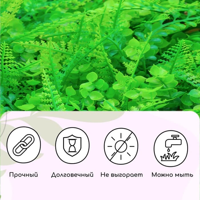 Декоративная панель, 60×40 см, «Самшит, Папоротник», Greengo