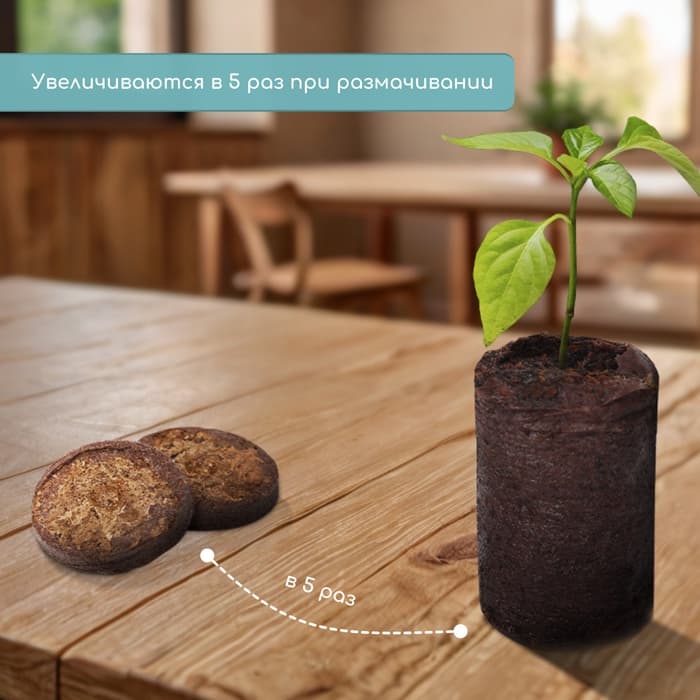 Таблетки торфяные, для рассады, d=3.6 см, с оболочкой, набор 10 шт.