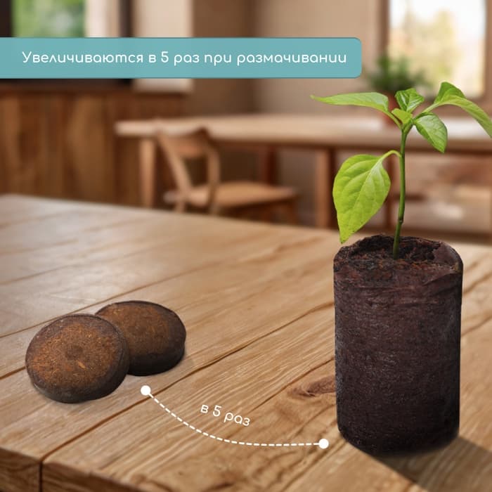 Таблетки торфяные, для рассады, d=4.2 см, с оболочкой, набор 8 шт.