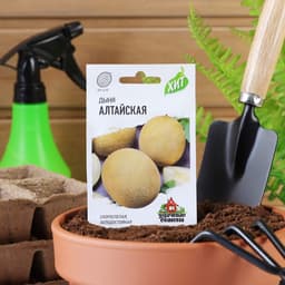 Семена Дыня "Алтайская", ц/п,  0,5 г  серия ХИТ х3