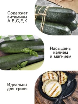 Семена Кабачок цукини «Куанд», 1.5 г, «Удачные семена»