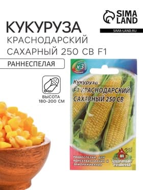 Семена Кукуруза «Краснодарский сахарный 250 CB» F1, «ХИТ - Гавриш», раннеспелая, 5 г