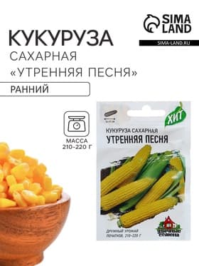 Семена Кукуруза сахарная «Утренняя песня», 5 г, «Удачные семена»