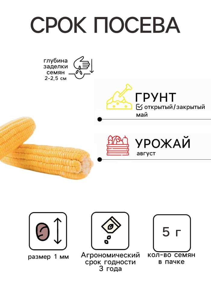 Семена Кукуруза сахарная «Утренняя песня», 5 г, «Удачные семена»