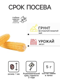Семена Кукуруза сахарная «Утренняя песня», 5 г, «Удачные семена»