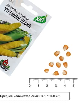 Семена Кукуруза сахарная «Утренняя песня», 5 г, «Удачные семена»