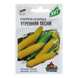 Семена Кукуруза сахарная «Утренняя песня», 5 г, «Удачные семена»
