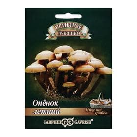 Мицелий грибов «Опенок», летний на древесной палочке, 12 шт., «Гавриш»