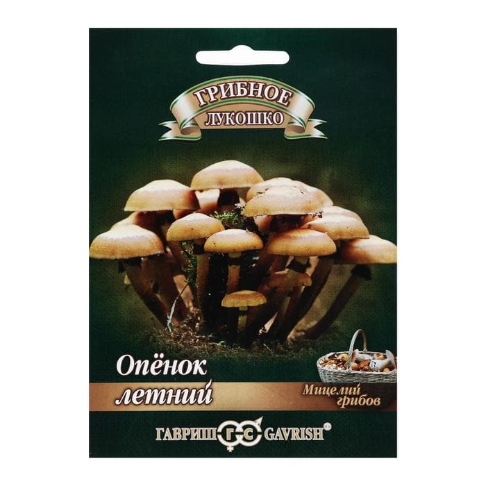 Мицелий грибов «Опенок», летний на древесной палочке, 12 шт., «Гавриш»