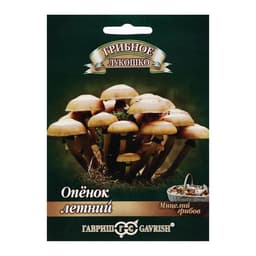 Мицелий грибов «Опенок», летний на древесной палочке, 12 шт., «Гавриш»