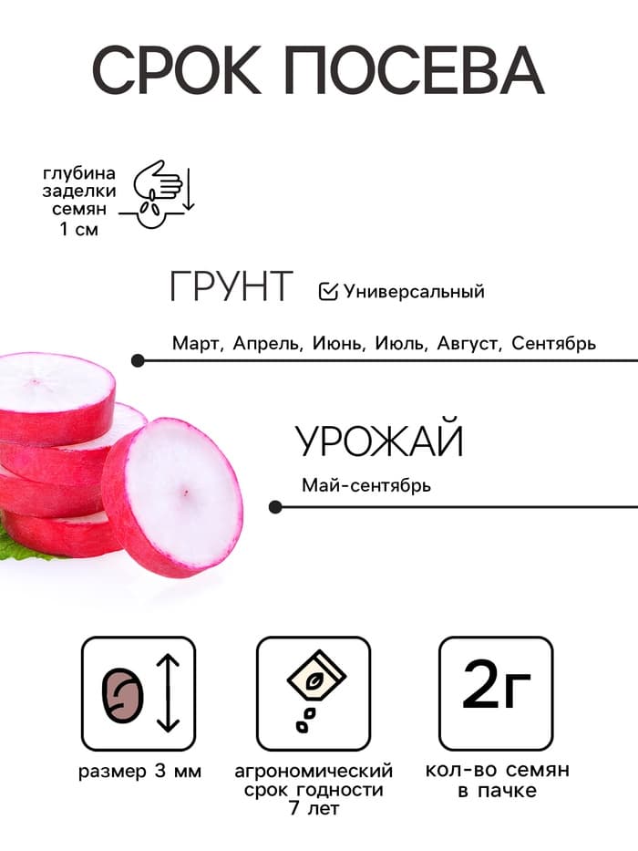 Семена Редис «Розово-красный с белым кончиком», 2 г, «Гавриш»