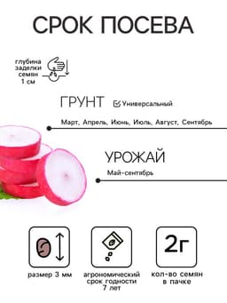 Семена Редис «Розово-красный с белым кончиком», 2 г, «Гавриш»
