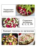 Семена Редис «Розово-красный с белым кончиком», 2 г, «Гавриш»