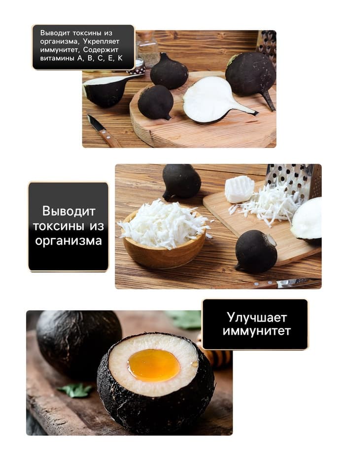 Семена Редька «Зимняя», круглая, чёрная, 0.5 г, «Гавриш»