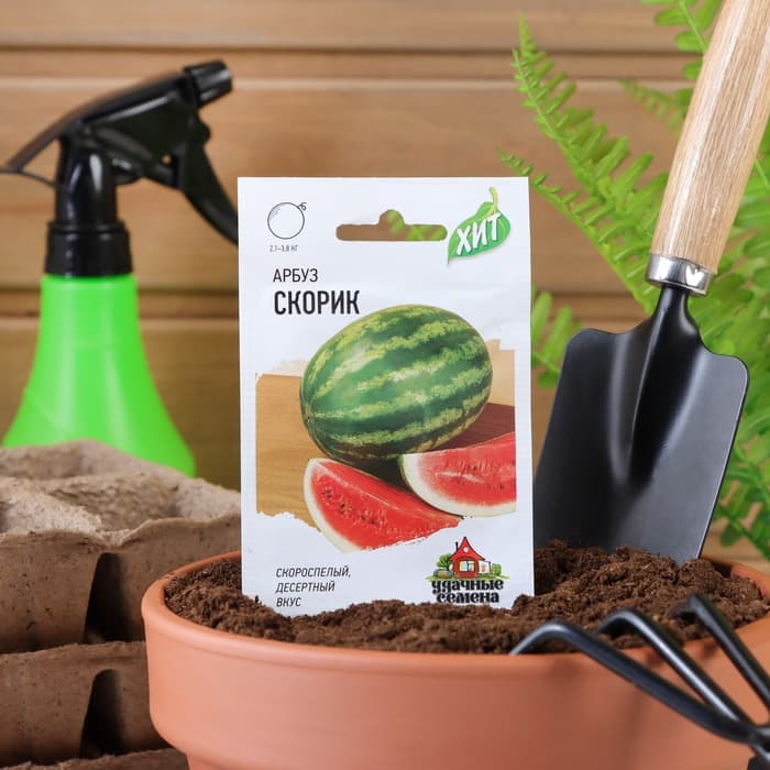 Семена Арбуз «Скорик»,1 г, «Удачные семена»