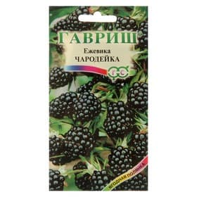 Семена Ежевика «Чародейка», 10 шт., «Гавриш»
