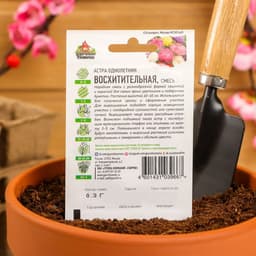 Семена цветов Астра "Восхитительная", ц/п, смесь, О, 0,3 г серия ХИТ х3