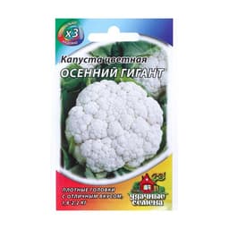 Семена Капуста цветная «Осенний гигант», 0.3 г, «Удачные семена»