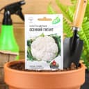 Семена Капуста цветная «Осенний гигант», 0.3 г, «Удачные семена»