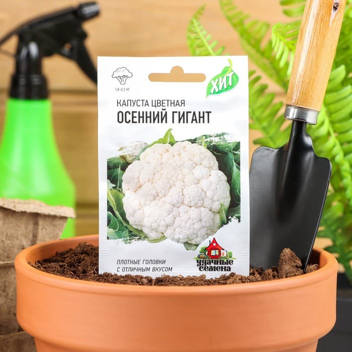 Семена Капуста цветная «Осенний гигант», 0.3 г, «Удачные семена»