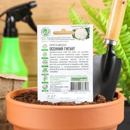 Семена Капуста цветная «Осенний гигант», 0.3 г, «Удачные семена»