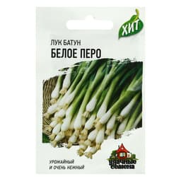 Семена Лук на зелень «Белое перо», 0.5 г, серия «ХИТ», «Гавриш»